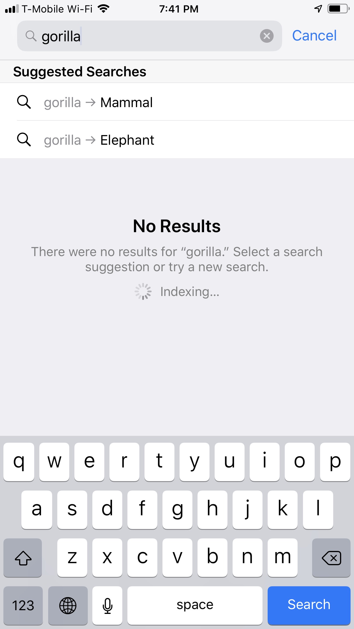 Searching Apple Photos on the iPhone