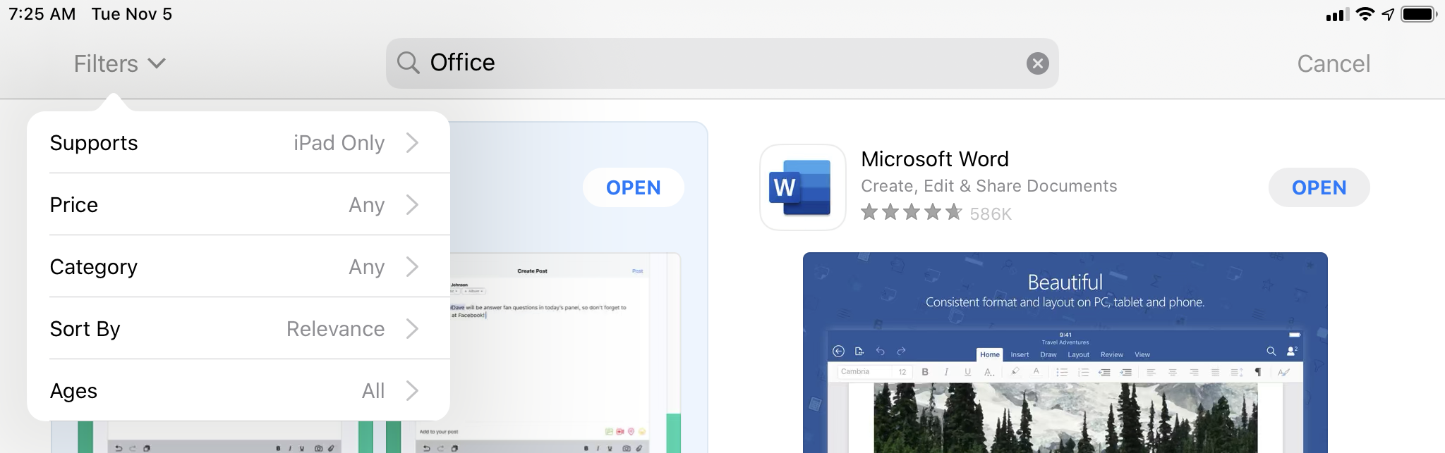 Filters in the iPadOS App Store.